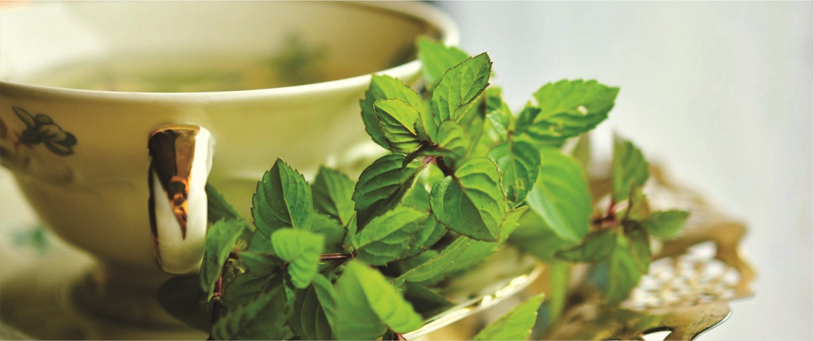 Impact of Herbal Medicine on Human Health